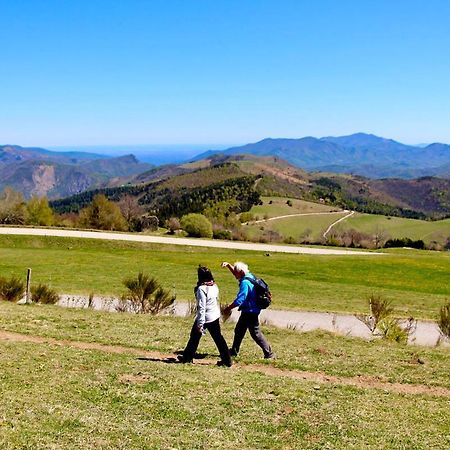 Naturaleza Y Aire Puro En El Pirineo Oriental En Una Bonita Casa Rural De Piedra Prats-de-Mollo-la-Preste Ngoại thất bức ảnh