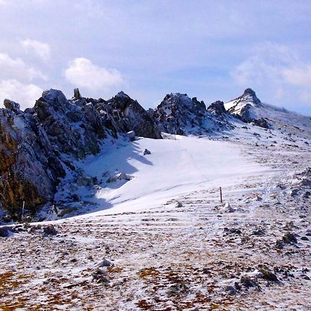 Naturaleza Y Aire Puro En El Pirineo Oriental En Una Bonita Casa Rural De Piedra Prats-de-Mollo-la-Preste Ngoại thất bức ảnh