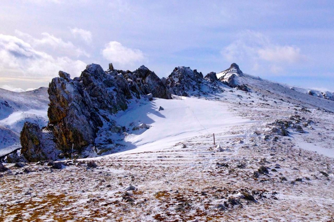 Naturaleza Y Aire Puro En El Pirineo Oriental En Una Bonita Casa Rural De Piedra Prats-de-Mollo-la-Preste Ngoại thất bức ảnh