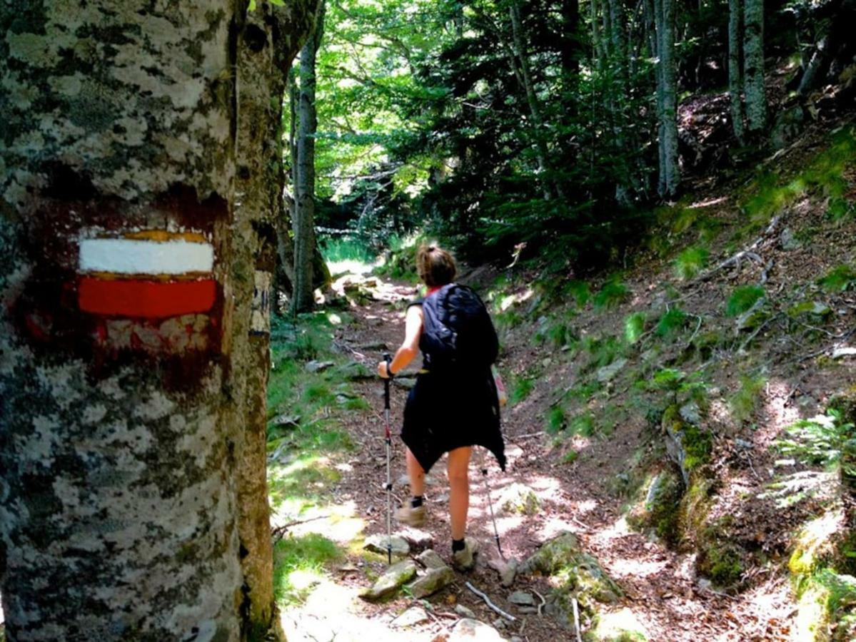 Naturaleza Y Aire Puro En El Pirineo Oriental En Una Bonita Casa Rural De Piedra Prats-de-Mollo-la-Preste Ngoại thất bức ảnh