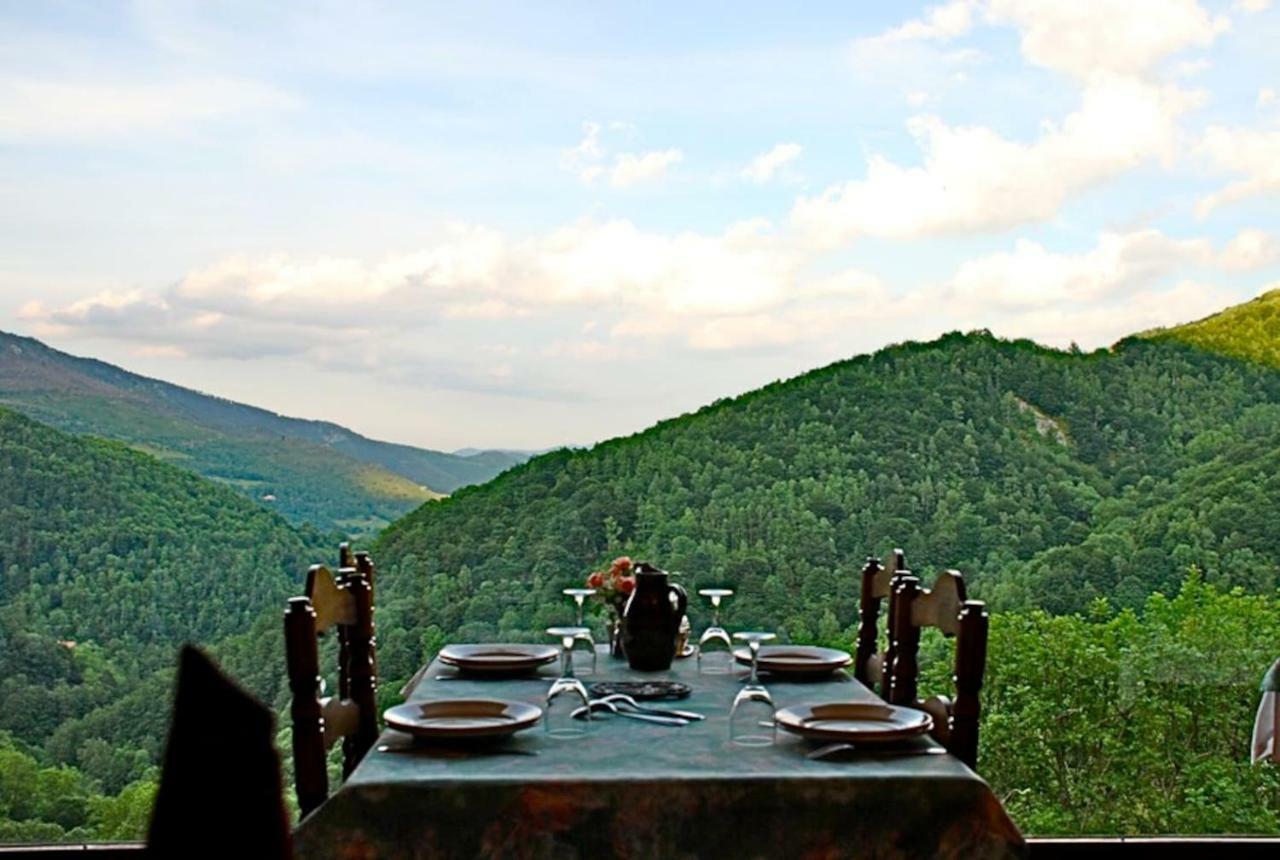 Naturaleza Y Aire Puro En El Pirineo Oriental En Una Bonita Casa Rural De Piedra Prats-de-Mollo-la-Preste Ngoại thất bức ảnh